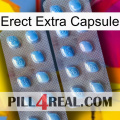 Erect Extra Capsule viagra4